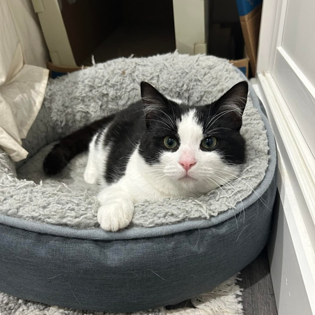 Photo of Moo