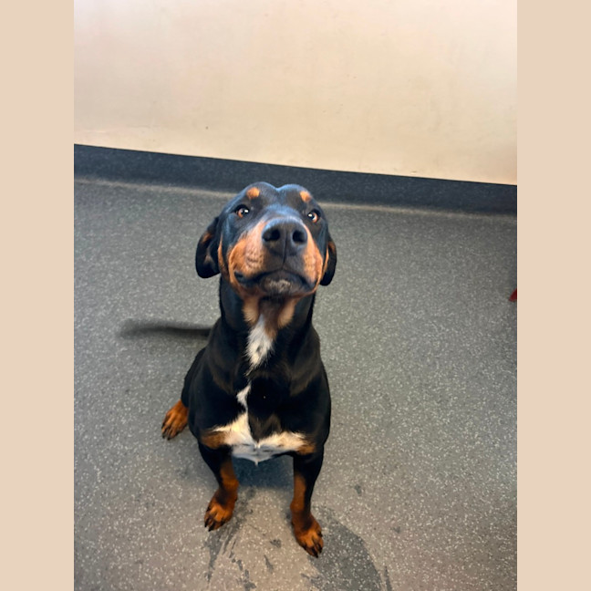 Photo of Smiley Pete