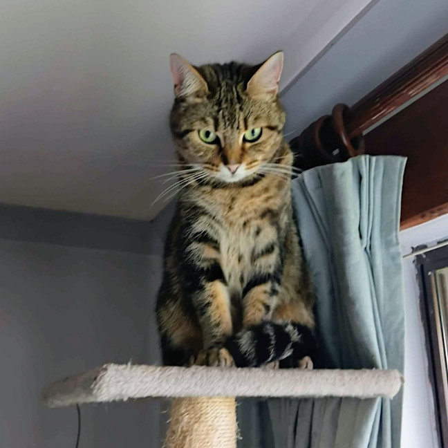 Photo of Charlie