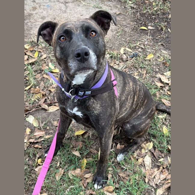 Photo of Suzie