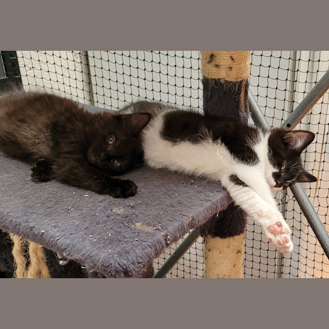 Photo of 💗 Annie 💗