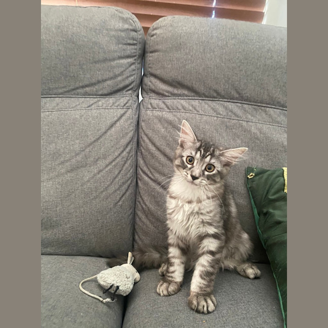Photo of Leo
