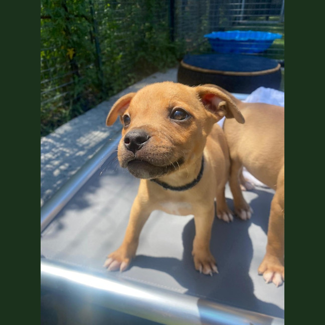 Photo of D1199 Winston