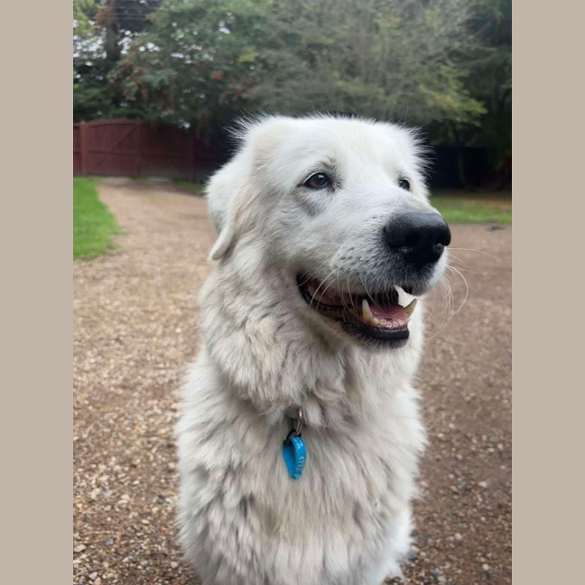 Photo of Nellie