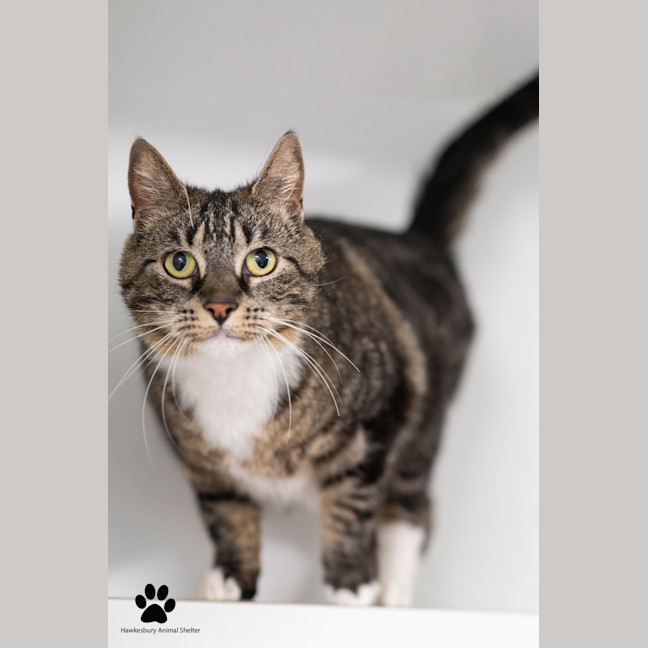 Photo of Laverne