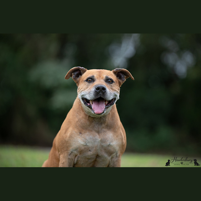 Photo of Bruce