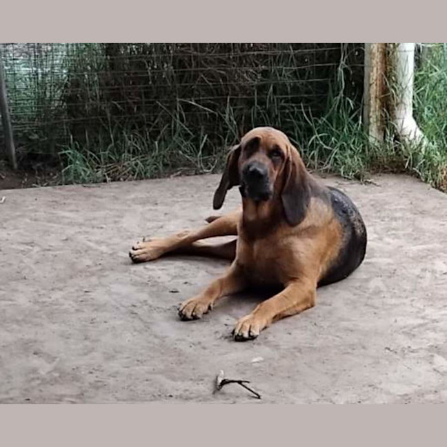 Photo of Dixie & Daisy