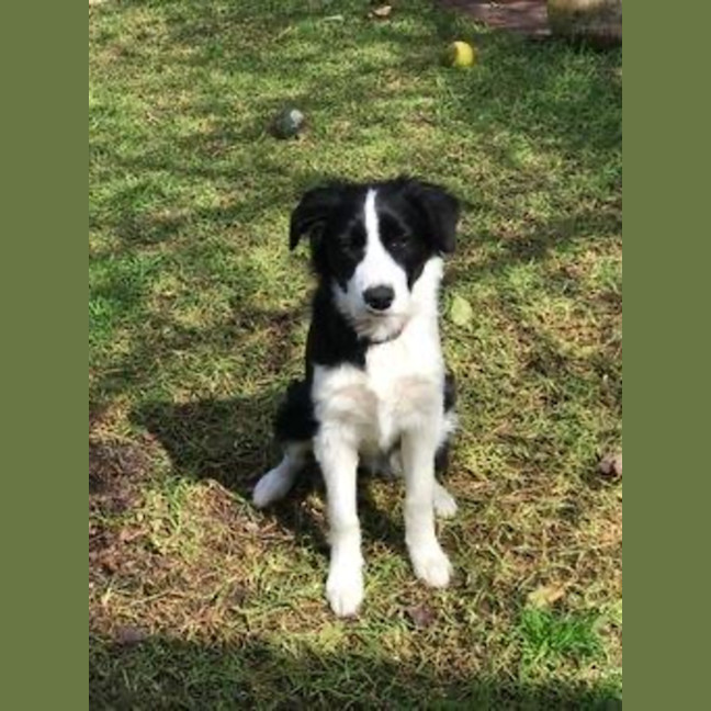 Photo of Kloe Newhaven