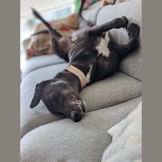 Photo of Tommy