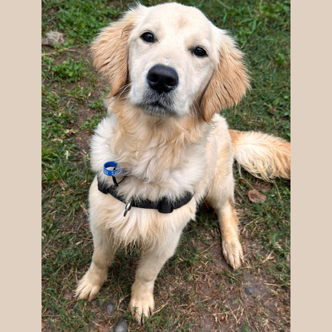 Photo of Pearl Woofster