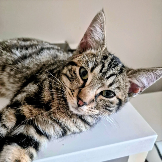 Photo of Fliss