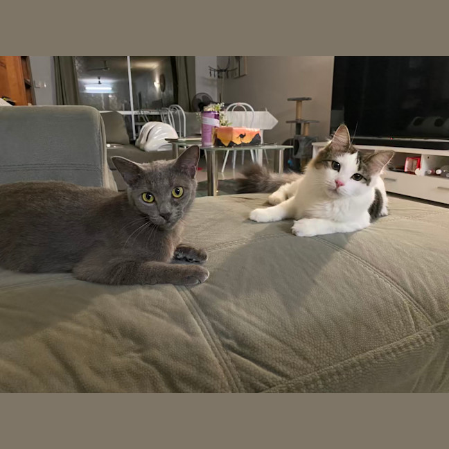 Photo of Nori & Nina