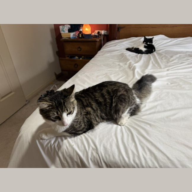 Photo of William