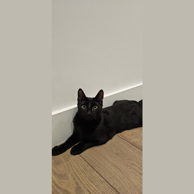 Photo of Cash
