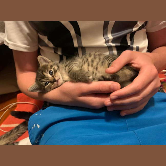 Photo of Lucky
