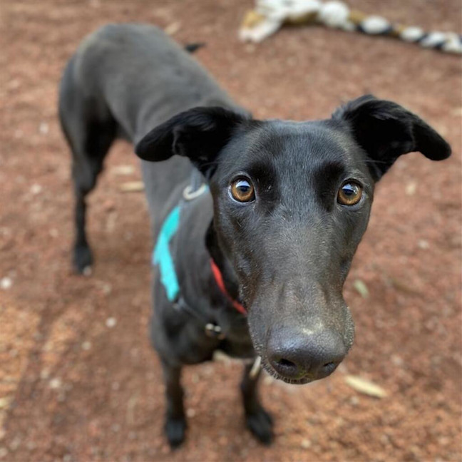 Photo of Maxine