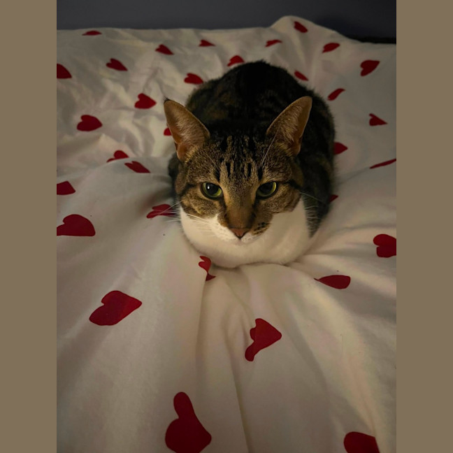 Photo of Winnie