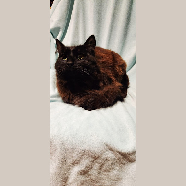 Photo of Baron