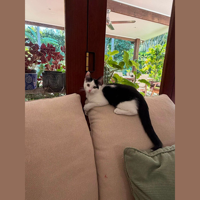 Photo of Rosie