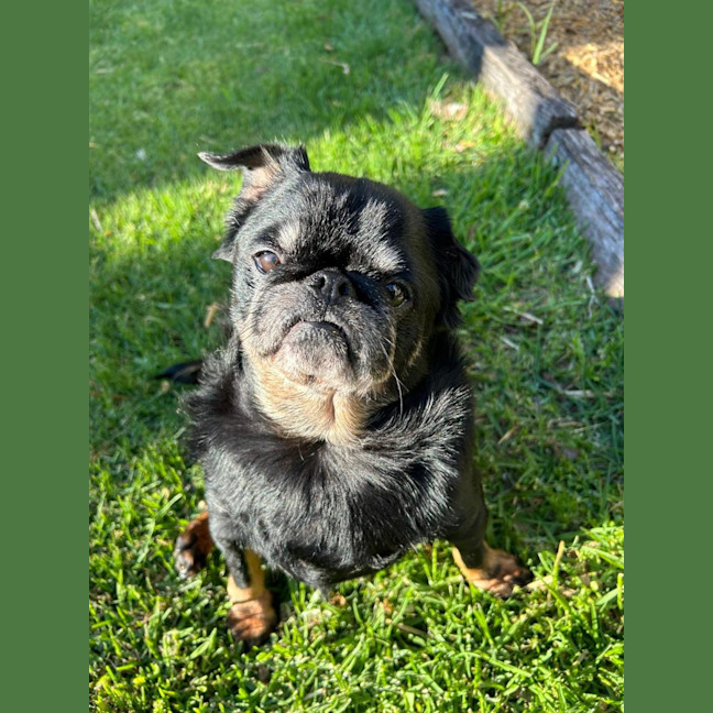 Photo of Maggie And Mr Wiggles