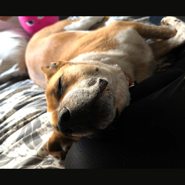 Photo of Sally Brown