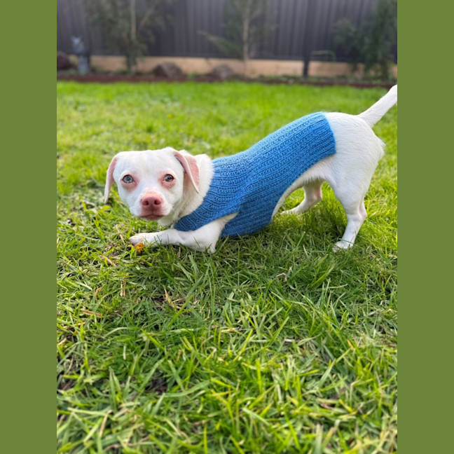 Photo of Jessie 