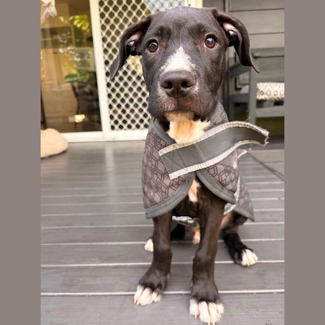 Photo of Max 