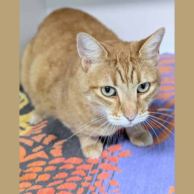 Photo of Tiggy