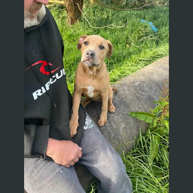 Photo of Shavina Dara