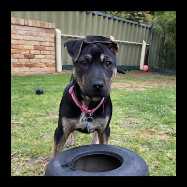 Photo of Princess Fiona