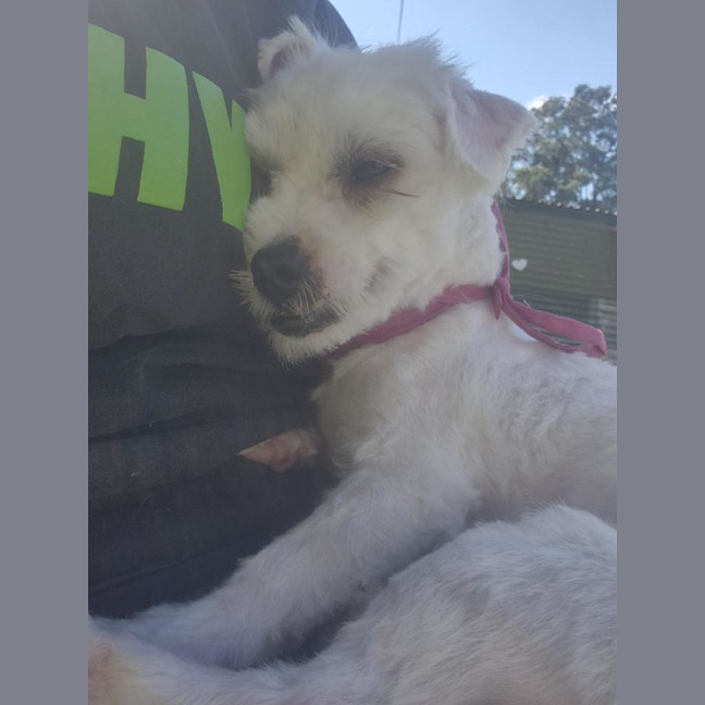 Photo of Murphy
