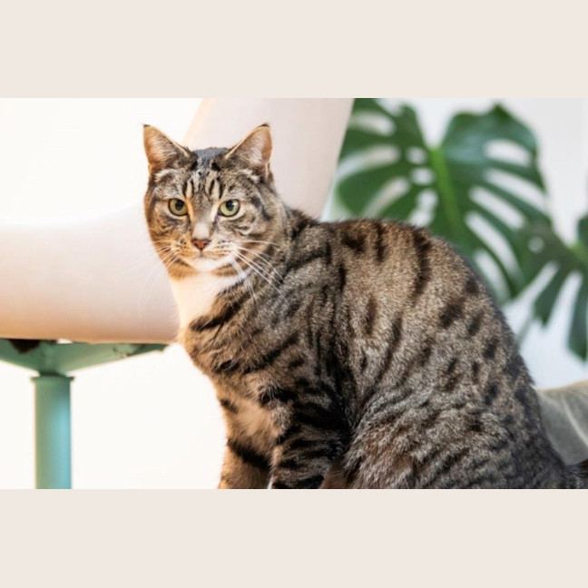 Photo of Louie Haliwell