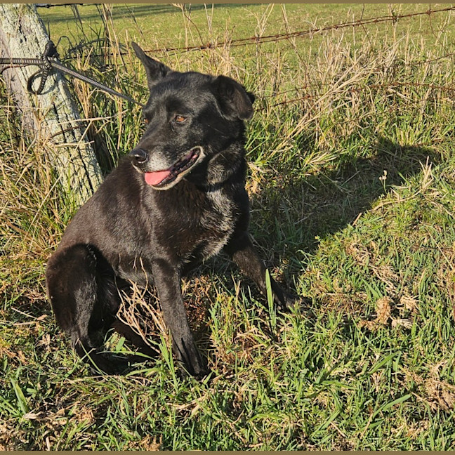 Photo of Zoe