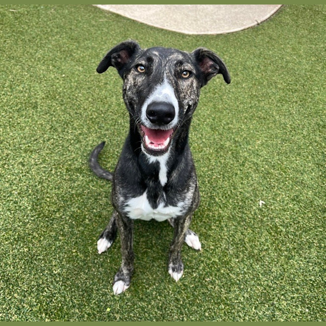 Photo of Jinx