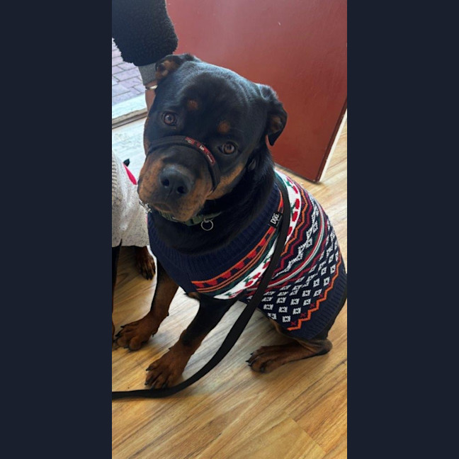 Photo of Lucky Newhaven