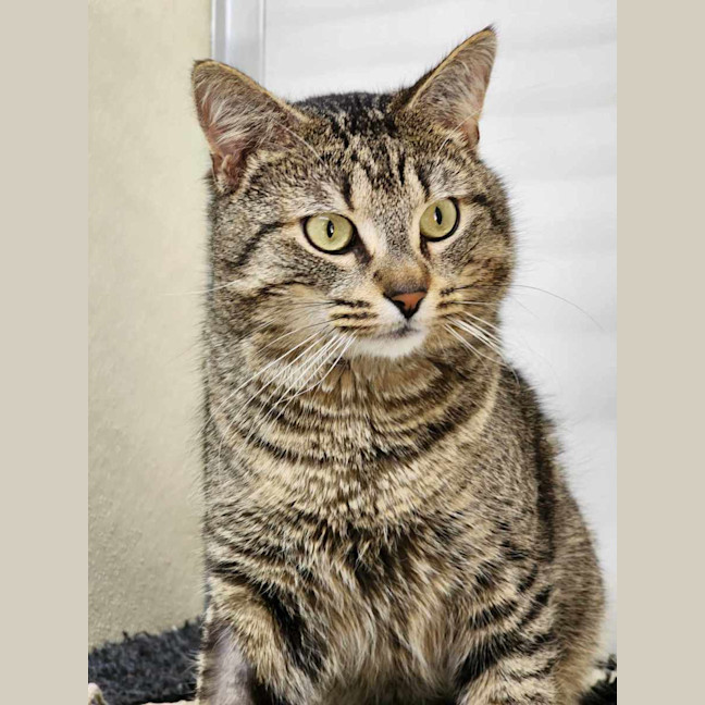 Photo of 😸 Clyde 5373😸