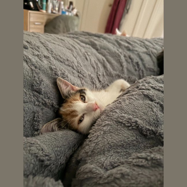 Photo of Jessie