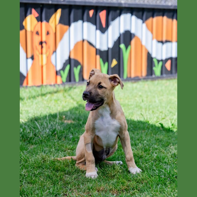 Photo of Jinx