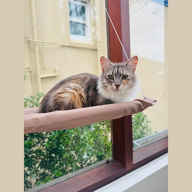 Photo of Lucy