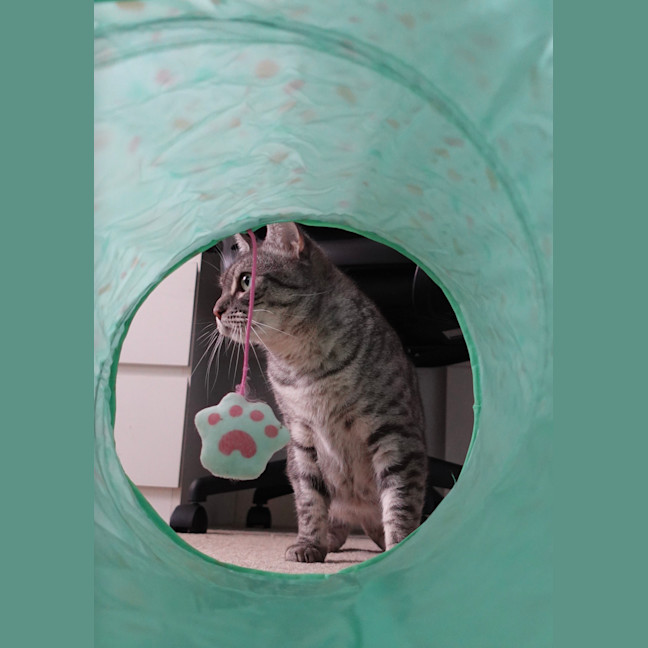 Photo of Kiara