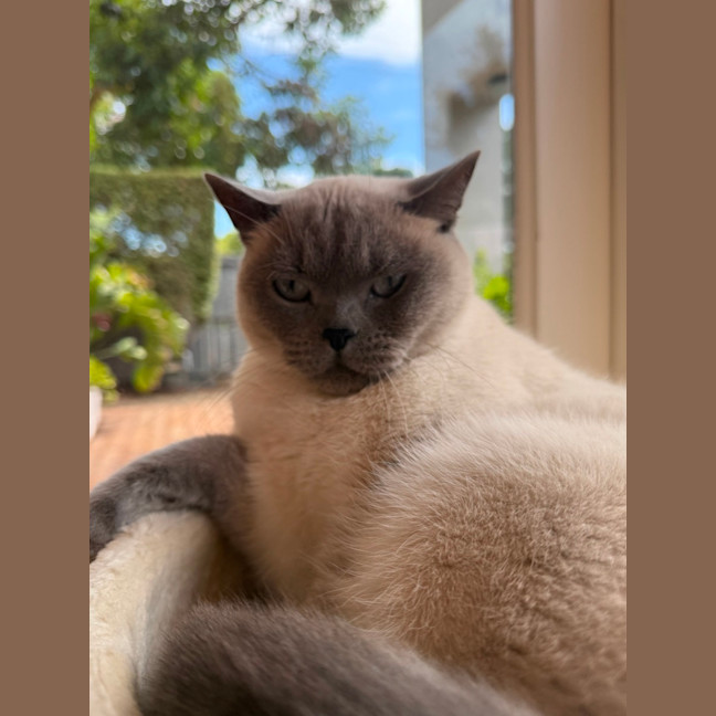 Photo of Ollie & Kobe