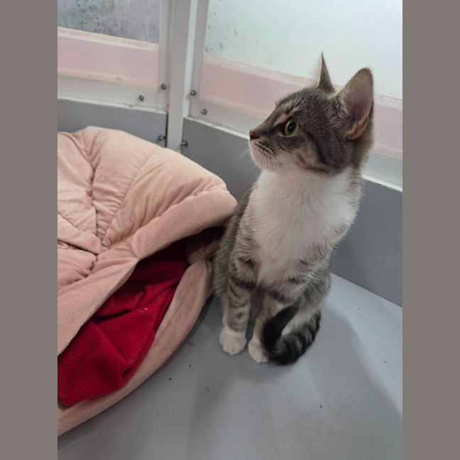 Photo of Diana   Loves Affection