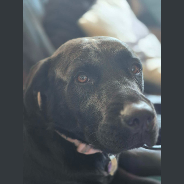 Photo of Maggie