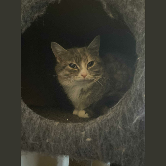 Photo of Crysta