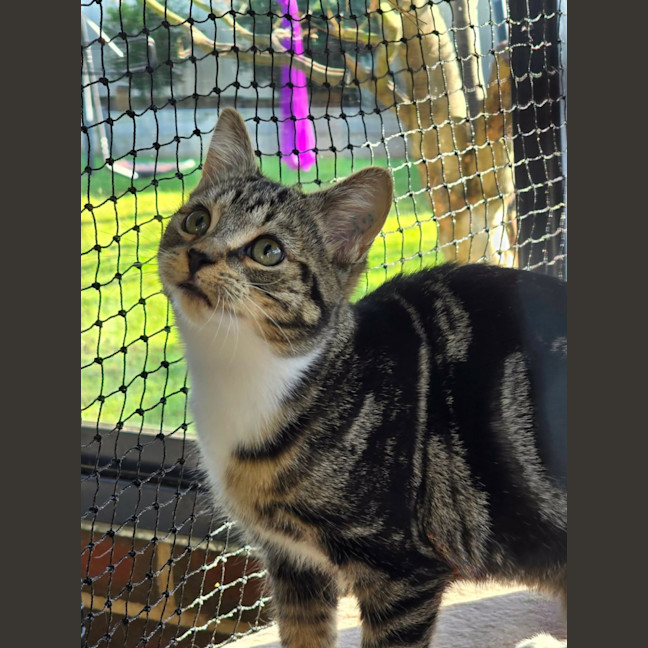 Photo of Itty