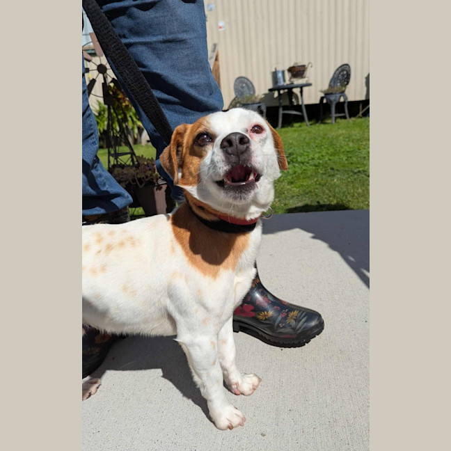 Photo of Athos & Rosie