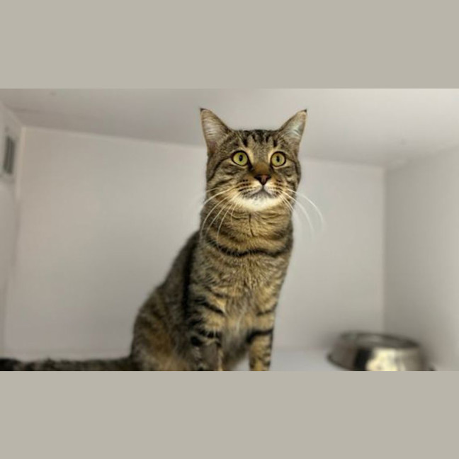 Photo of Rhubarb