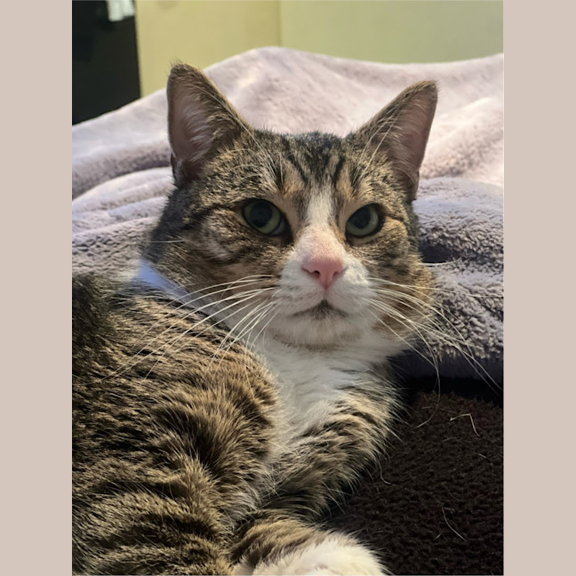 Photo of Reggie