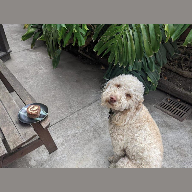 Photo of Gnocchi Russelton