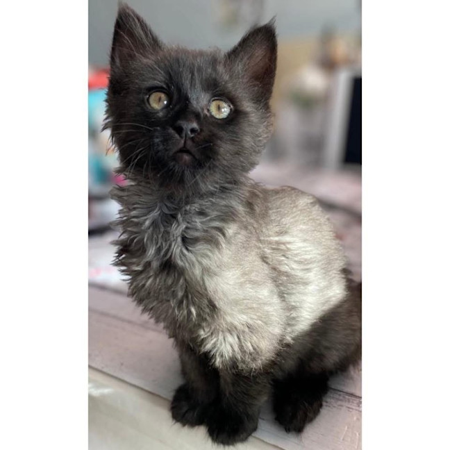 Photo of 12733   Asahi 